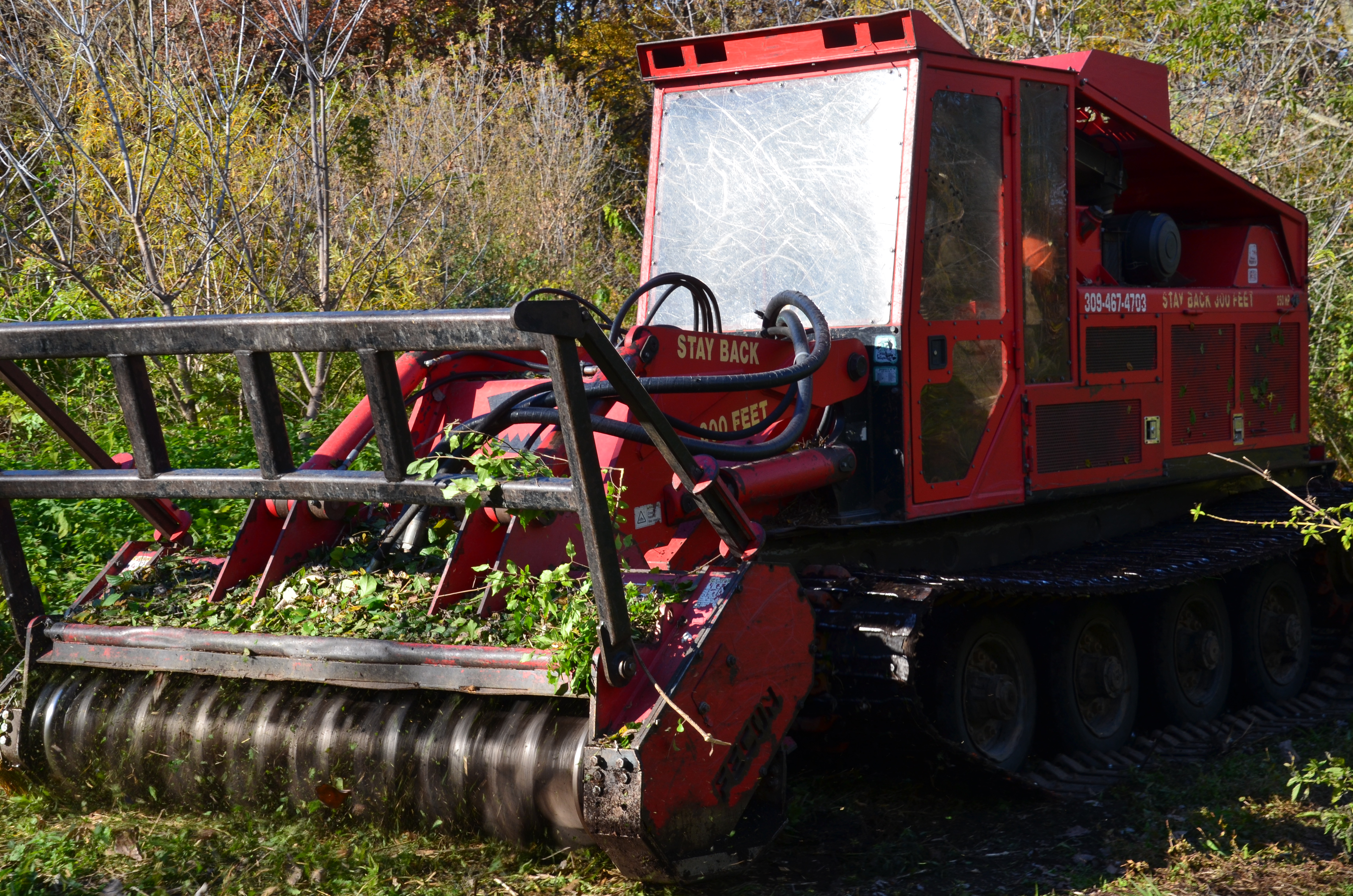 
Wetland Clearing